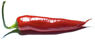 Datei:Chili.jpg